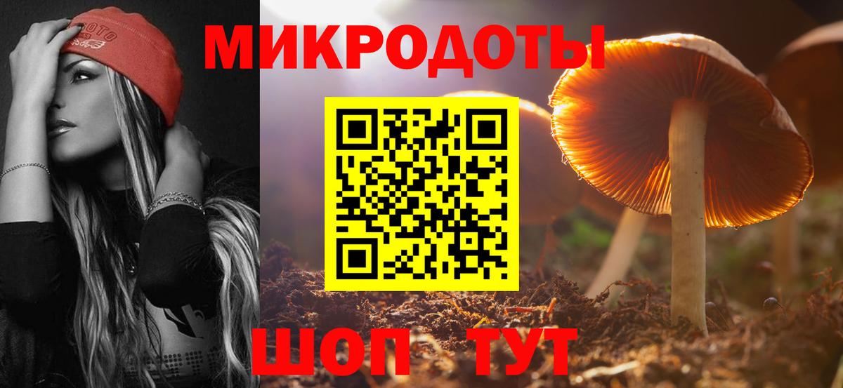 Псилоцибиновые грибы мицелий  Вход с VPN  Хасавюрт 